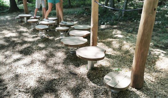 BF.054.9--O7969----Blätterteppich-Kinder-Balancieren-im-Wald.jpg