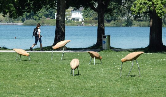 BN.310--5_Vögel-im-Park.JPG