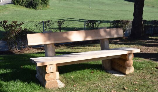 BT.031.B-Bank-Legno-O6422.JPG