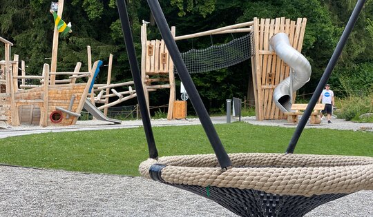 SC-Nestschaukel-Detailaufnahme-mit-SP-im-Hintergrund.JPG