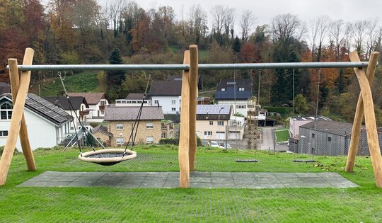 SC.080.32.R-Nestschaukel-Kombination-nature.jpg