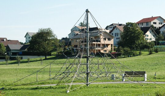 Pentagode-M-auf-Rasen-O2248.JPG