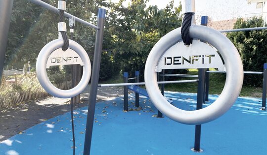 TF.7020-Multigym-Detail-Ringe.JPG